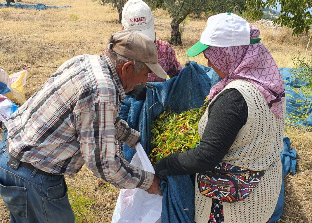 Manisa'da hasadı başladı: Kışın soğuğundan, kalpten ve şekerden koruyor 3